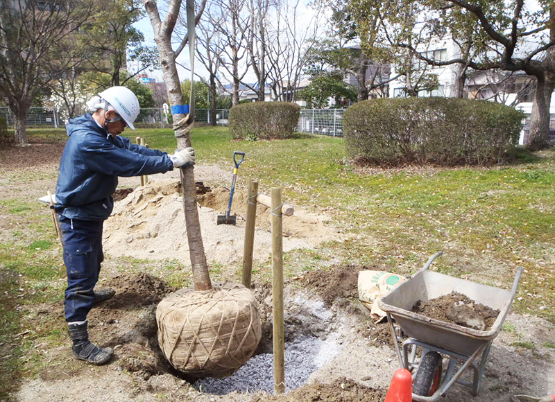 角野造園土木株式会社3